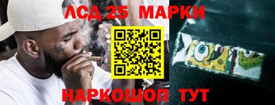 СК Боровичи