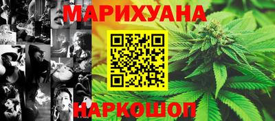 СК Боровичи