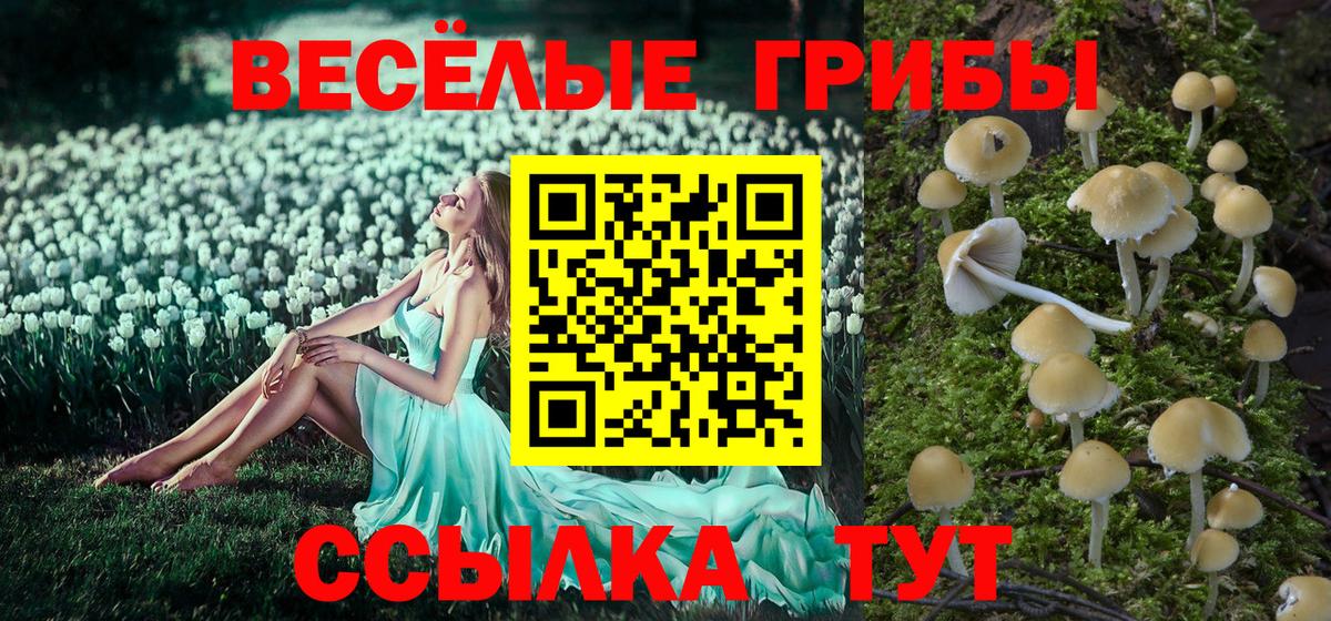 купить  сайты  Галлюциногенные грибы мицелий  Псилоцибиновые грибы мухоморы  Вход с VPN  Отрадное 